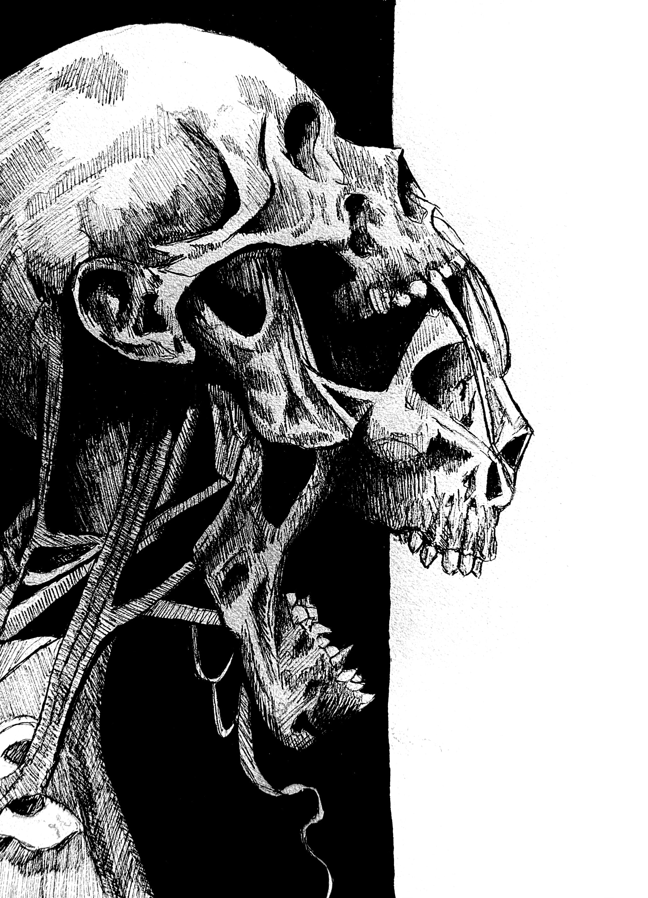 skull art print